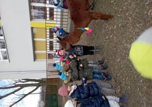 Dzieci trzymają alpakę na smyczy